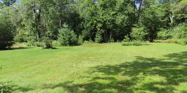 Image 4: back yard