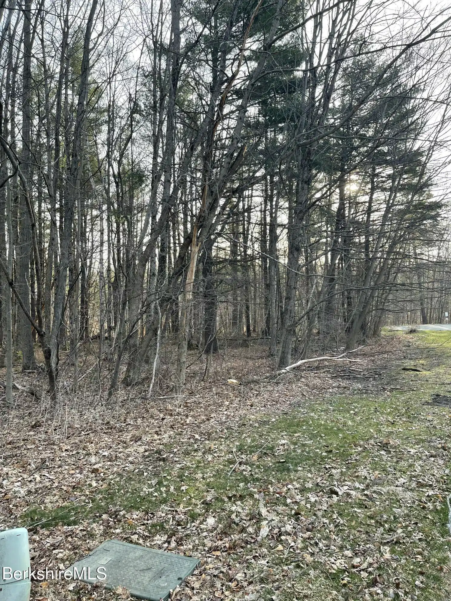 Image 1: Utilities on the lot and sparse woods