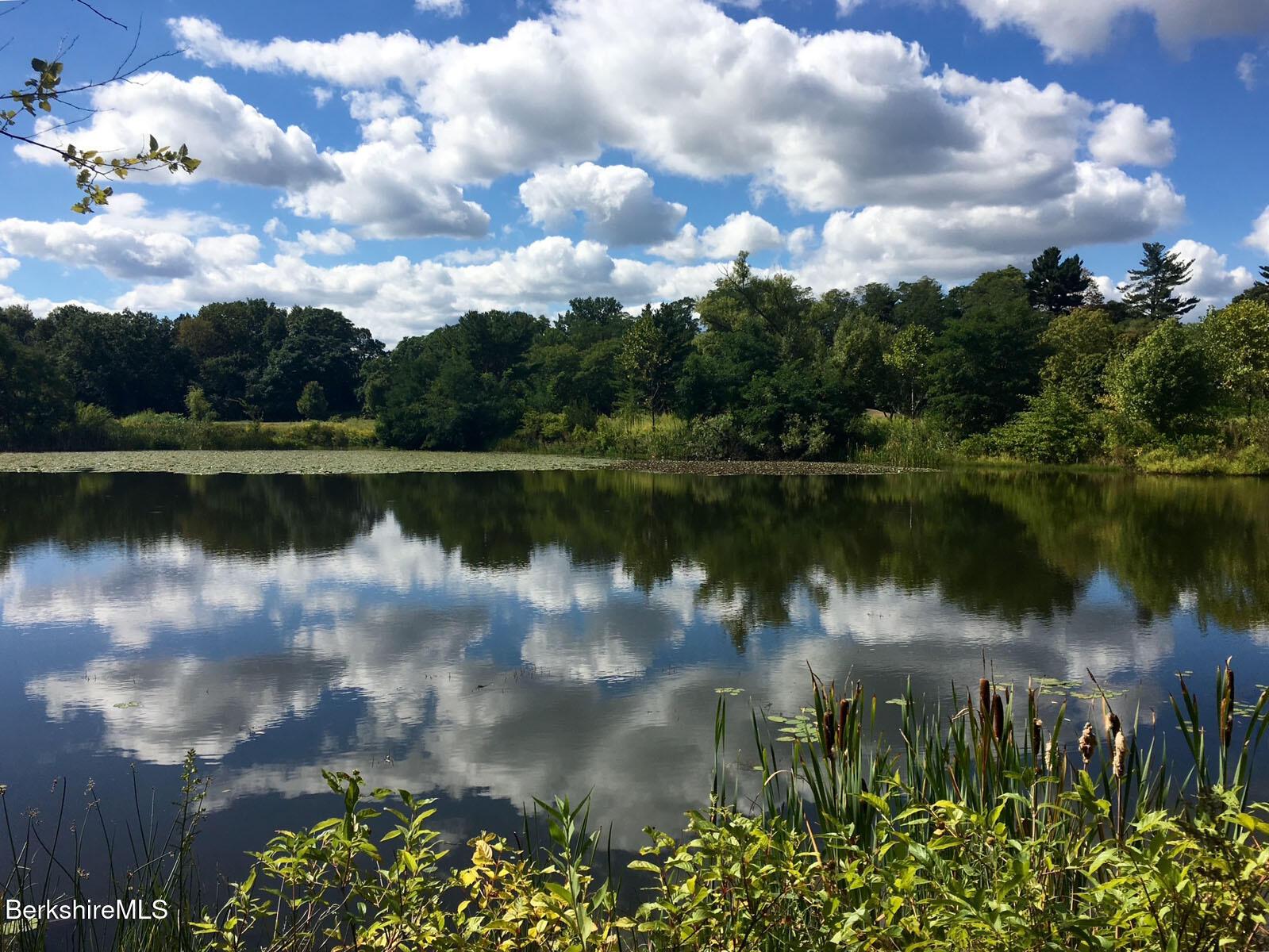 Image 4: 012_14_EXT_Pond