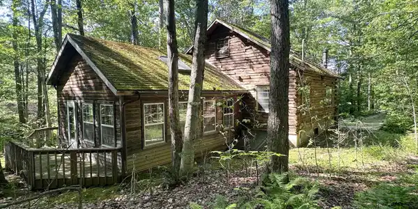 Image 3: Rear