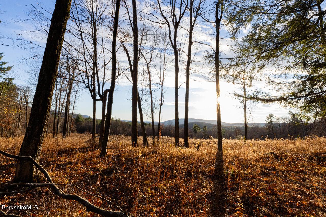 Image 1: View coming into focus