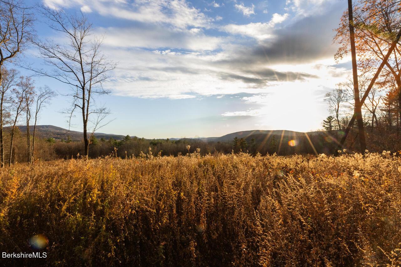 Image 2: Views southwest