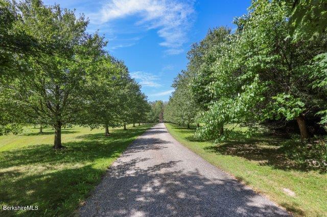 Image 4: 5 Driveway