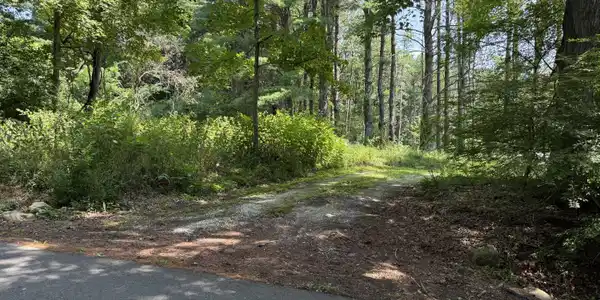 Image 2: From McGee