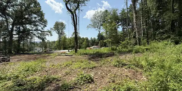 Image 4: Land toward neighbor