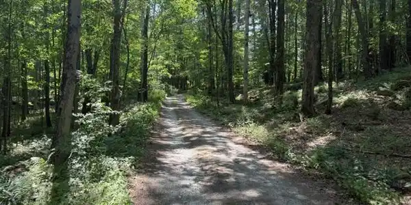 Image 2: Driveway in