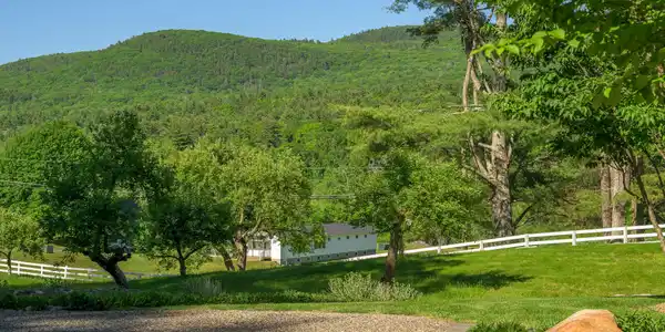Image 3: Scenic View