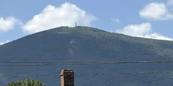 Image 3: View of Mt Greylock