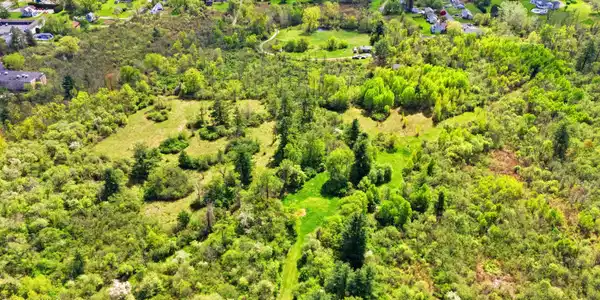 Image 3: Aerial