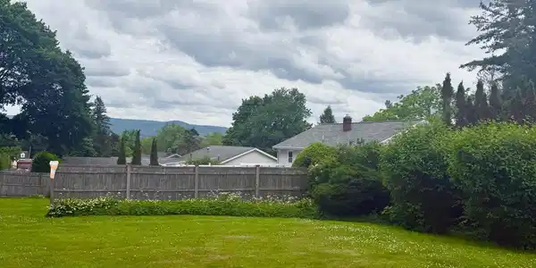 Image 4: Back yard Views