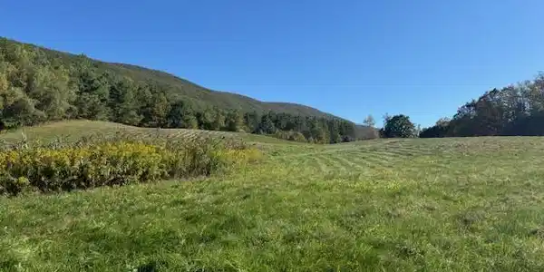 0 Daniels Rd
