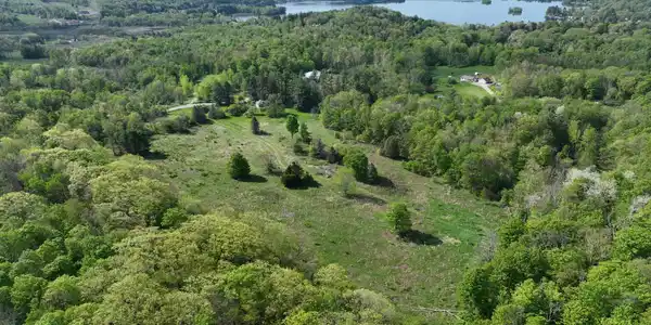 Image 2: Distant lake views
