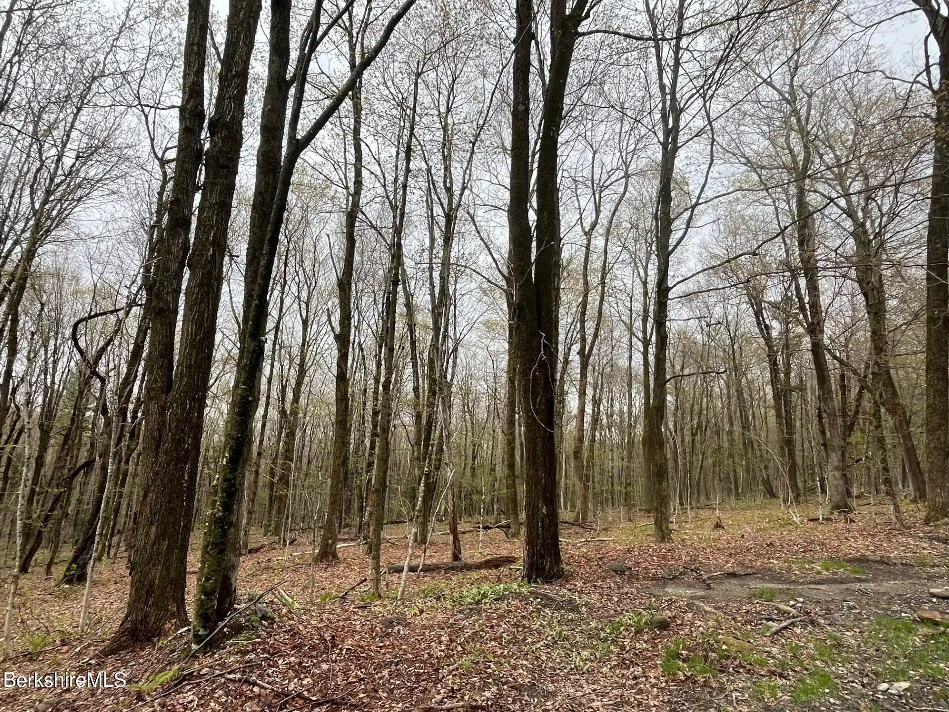 Image 1: 13.866ac