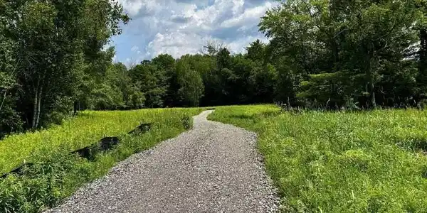 Image 4: Image 8