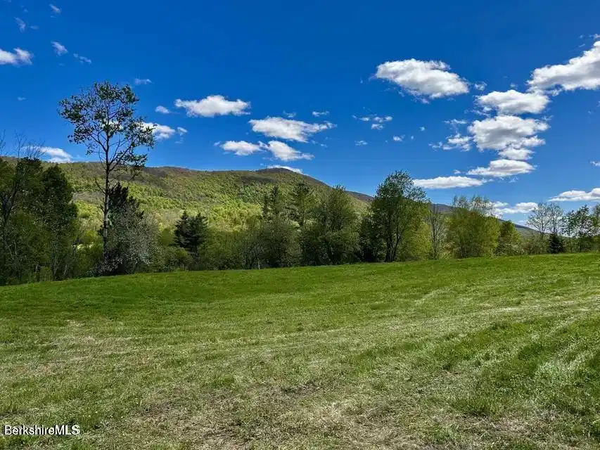 Image 1: Image 1