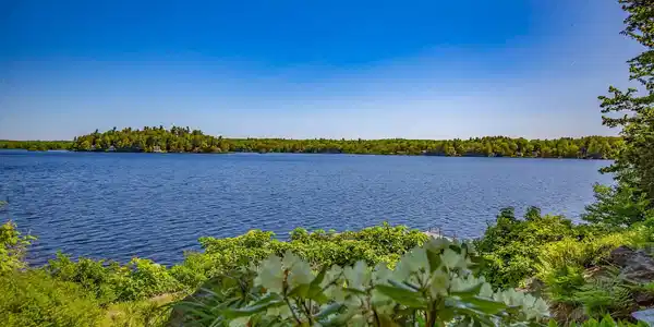 Image 4: Lake View
