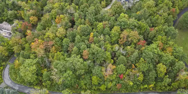 230 Chanterwood Rd