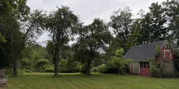 Image 4: back yard