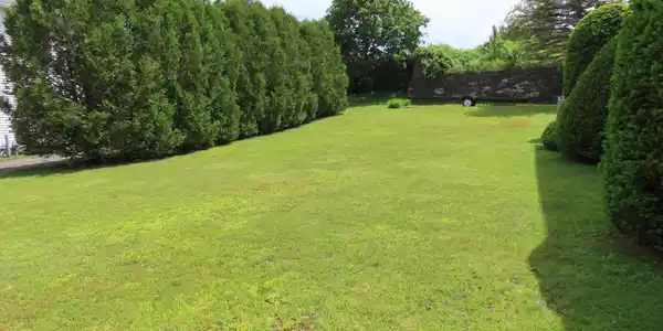 Image 3: Yard