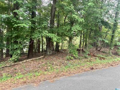 316 WARRIOR RIVER HIGHLANDS ROAD