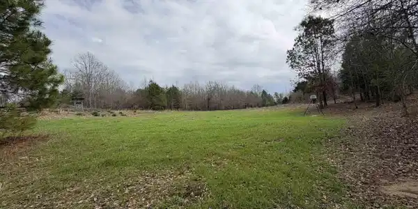Image 2: Yard