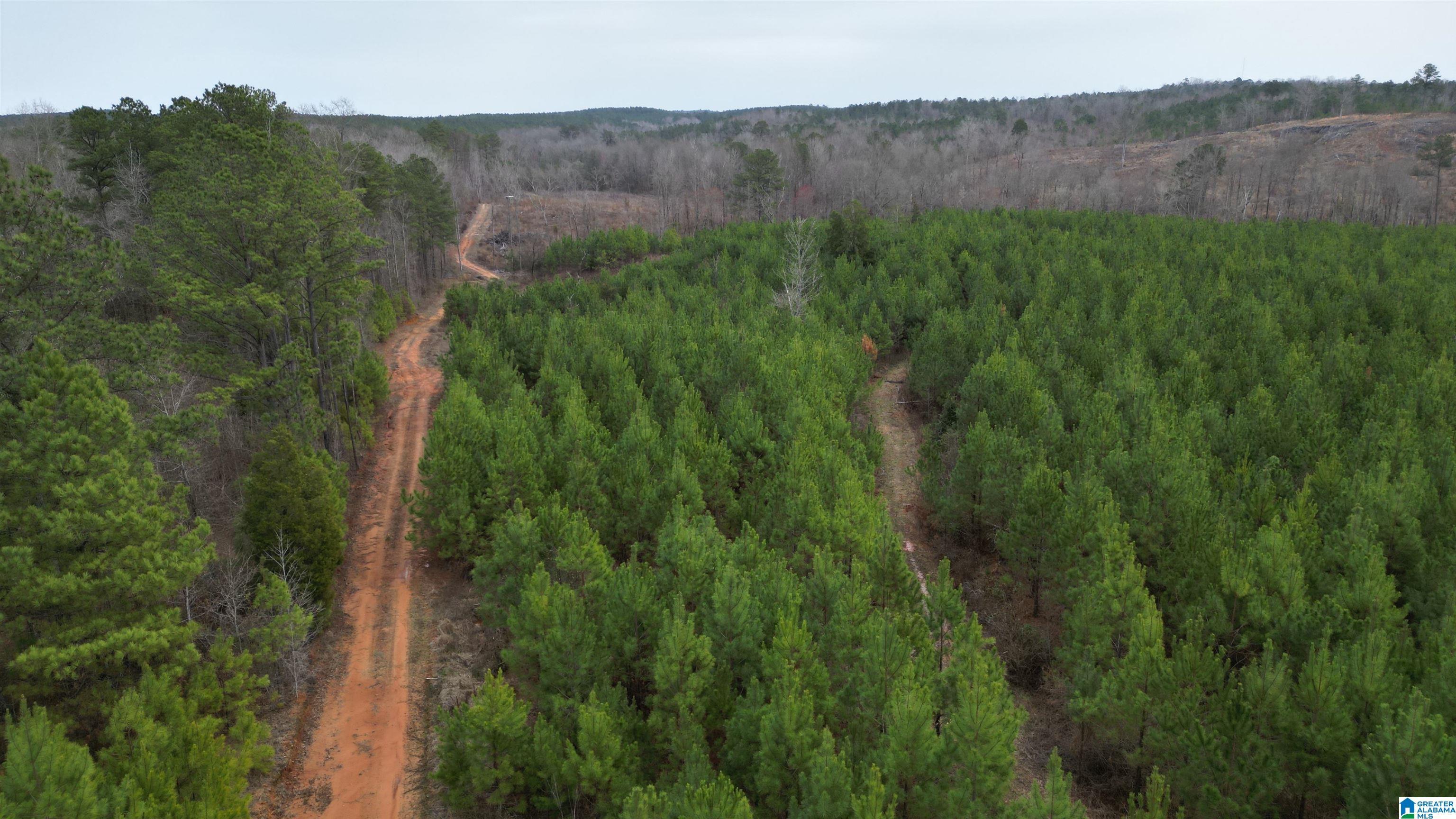 Image 3: Aerial View