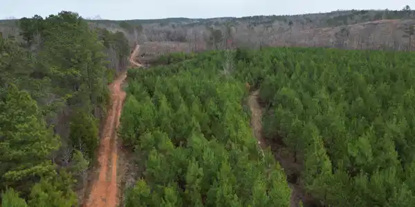 Image 3: Aerial View