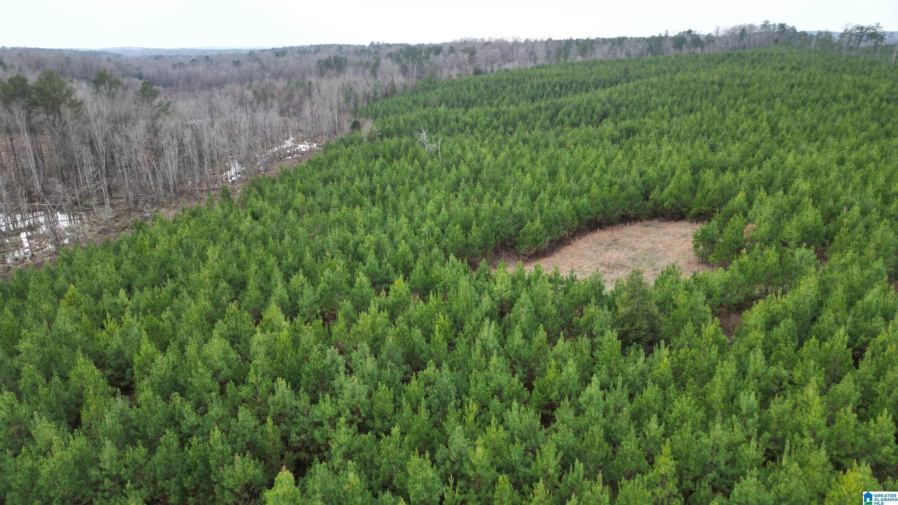 Image 4: Aerial View