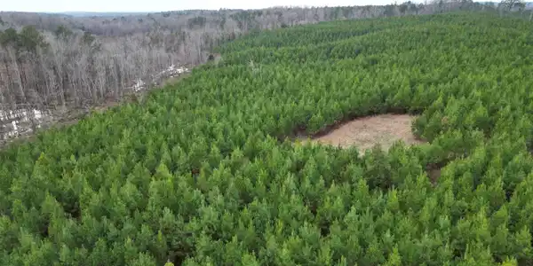 Image 4: Aerial View
