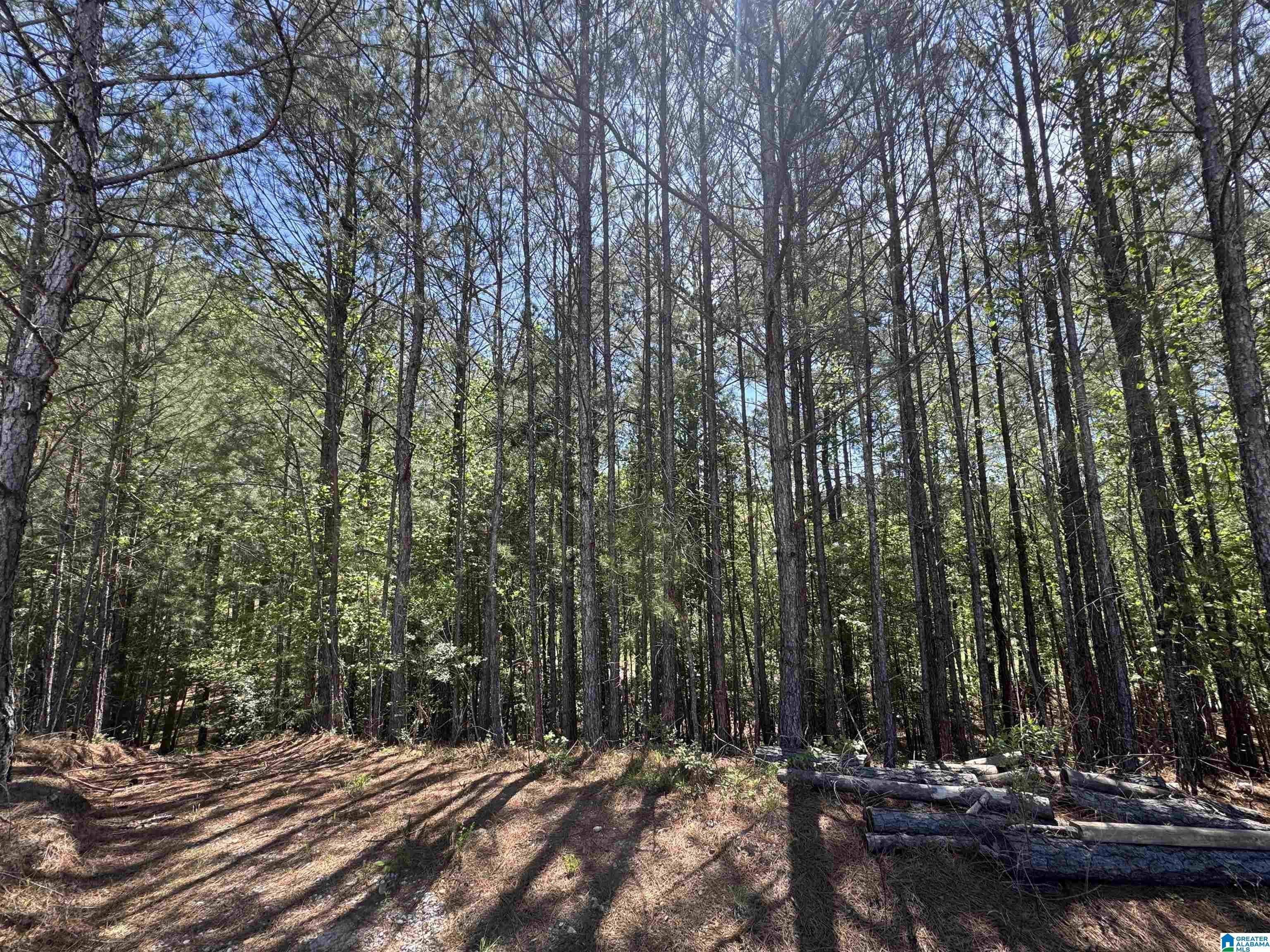 Image 3: View