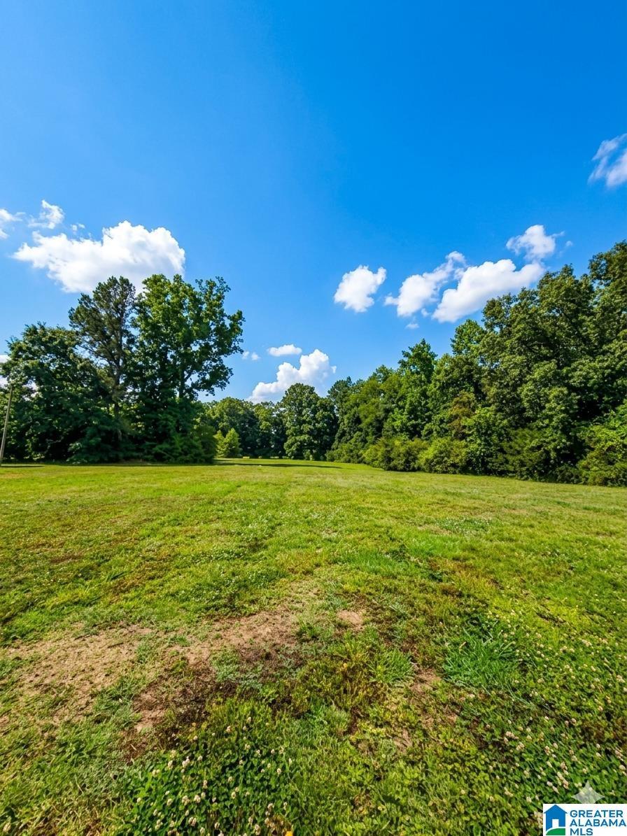Image 3: Yard