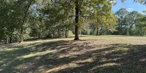 Image 4: Yard