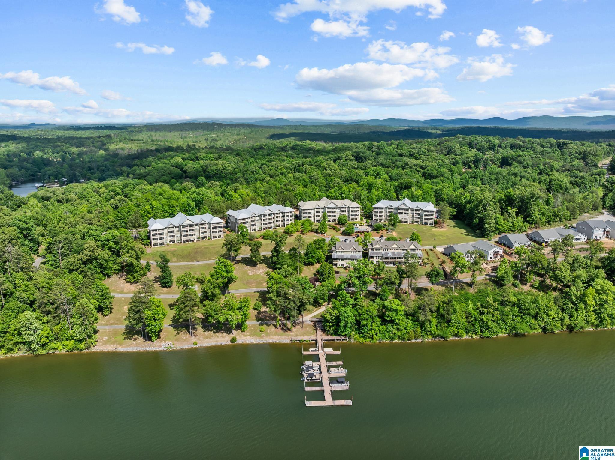 Image 2: Aerial View