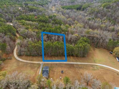 Lot 12 COUNTY ROAD 219