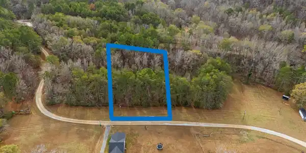 Lot 12 COUNTY ROAD 219