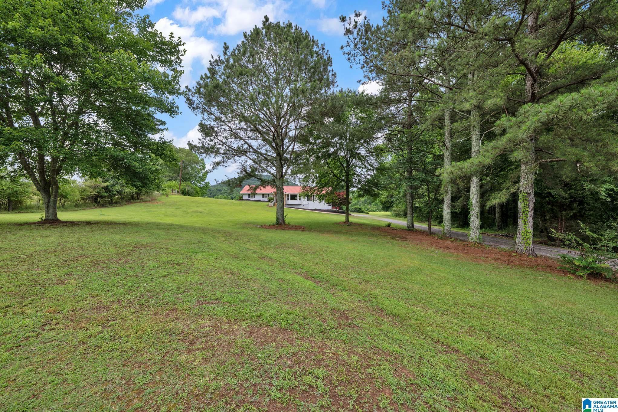 Image 3: Yard