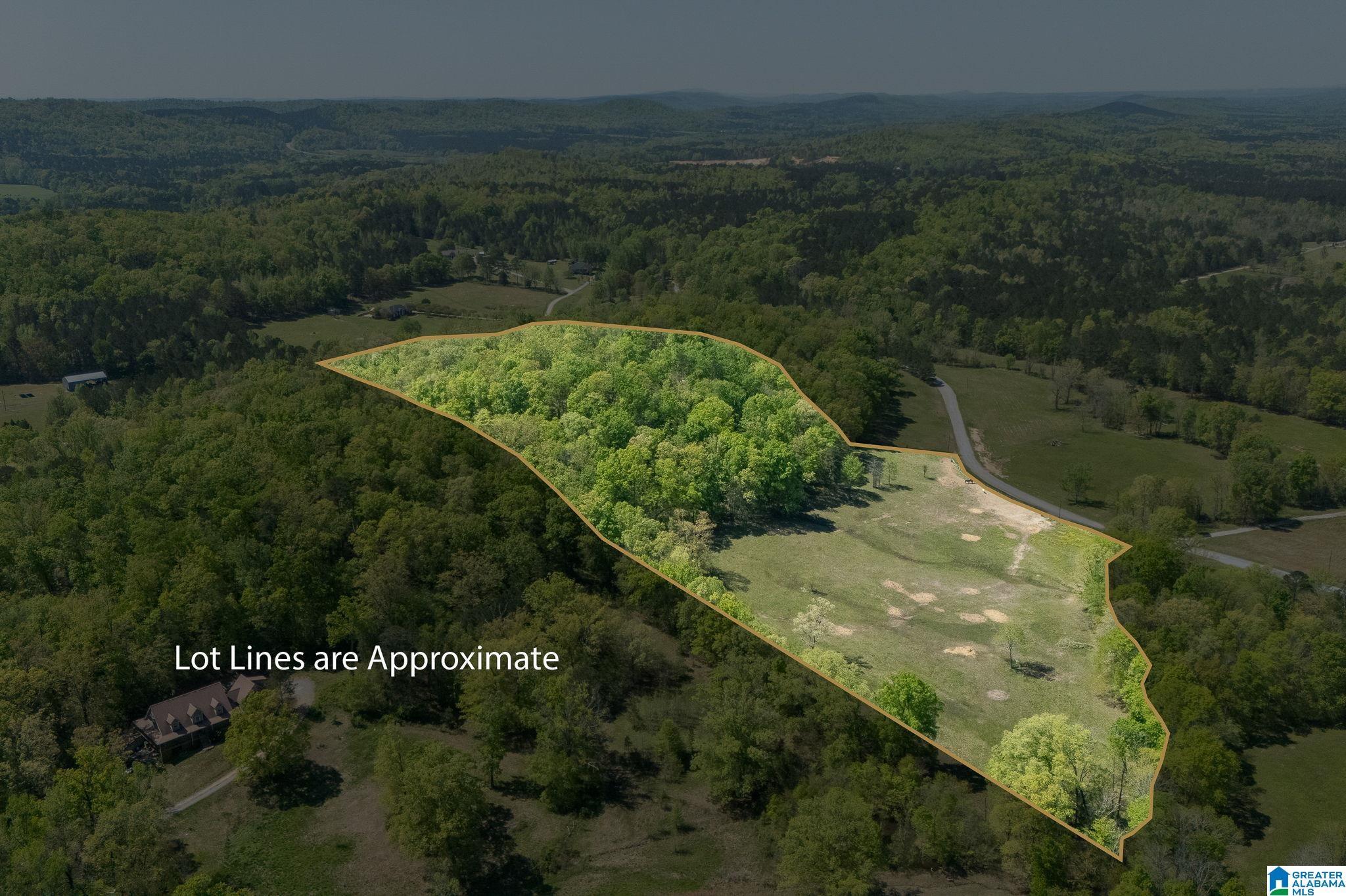 Image 4: Aerial View