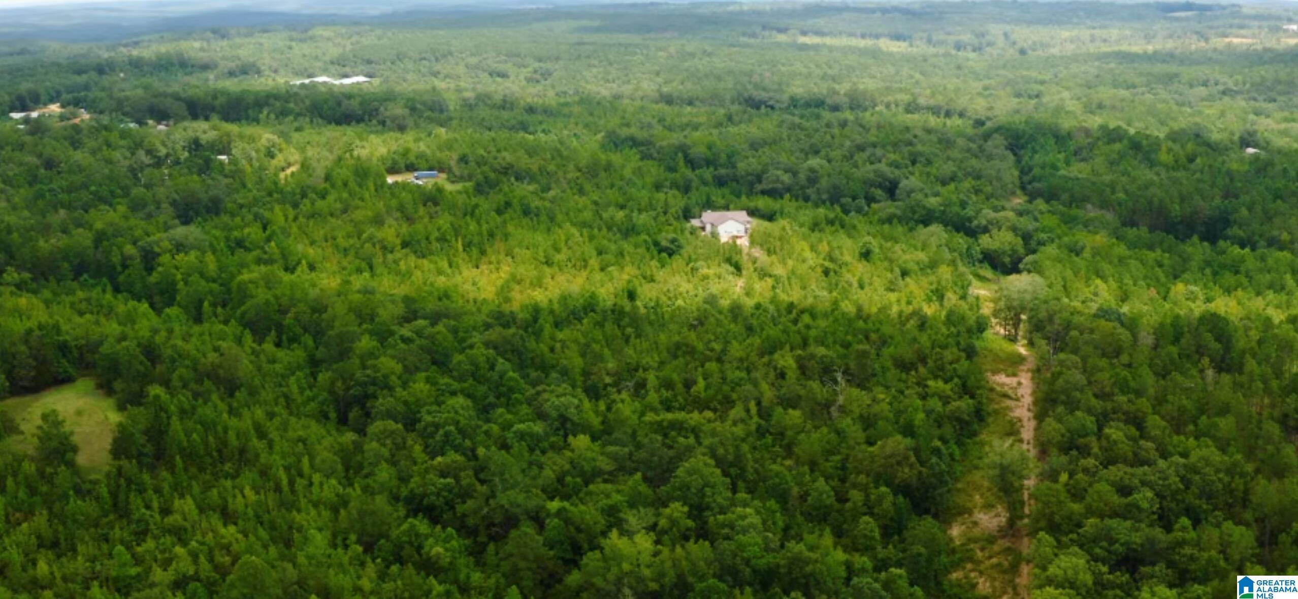 Image 4: Aerial View