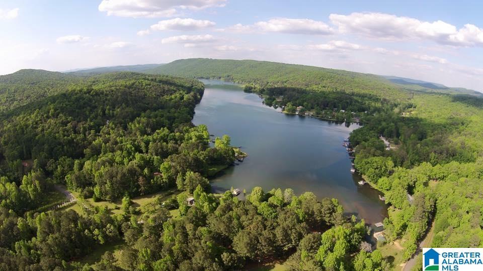 Image 3: Aerial View