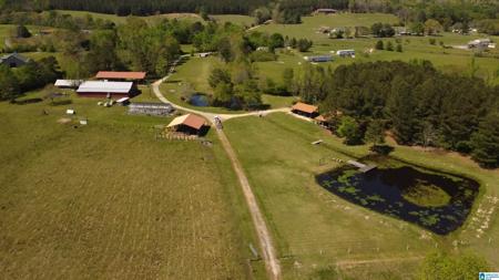 4820 COUNTY ROAD 22