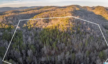 1004 RABBITTOWN ROAD