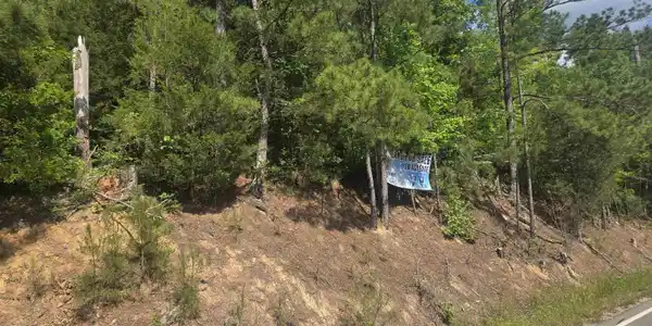 Image 3: Community