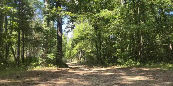 Image 4: View