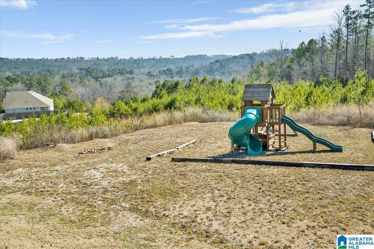 Image 4: Tons of backyard space with playset