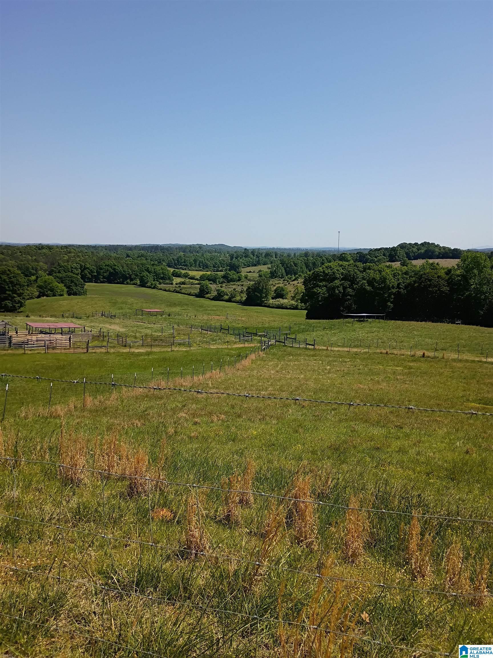 Image 1: Yard