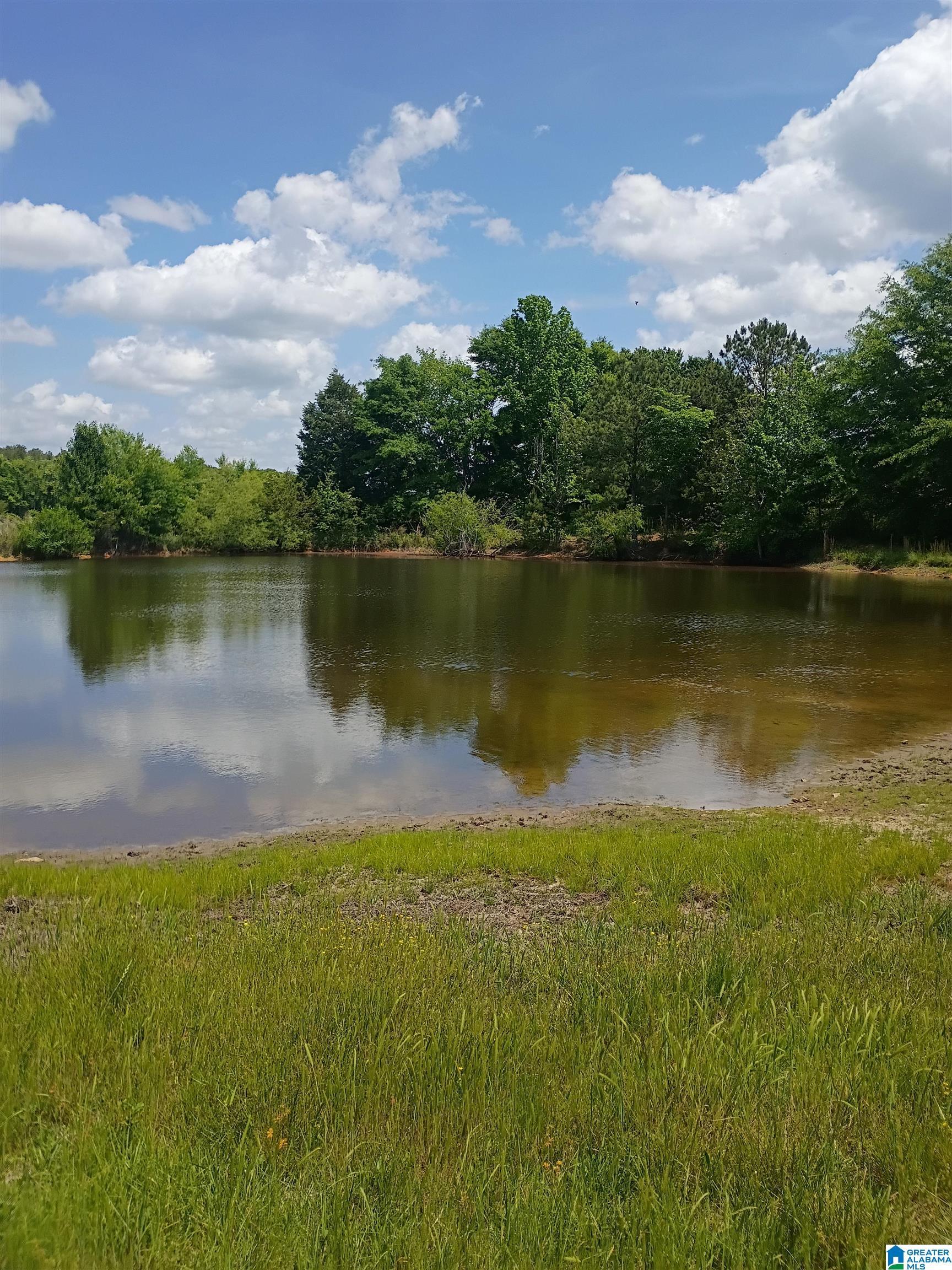 Image 3: View