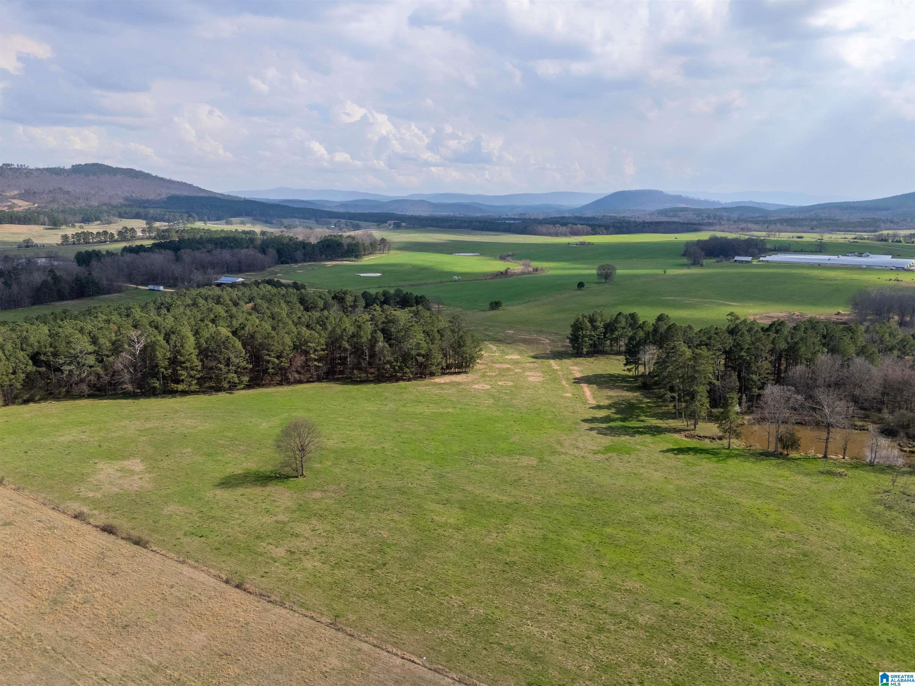 Image 3: View