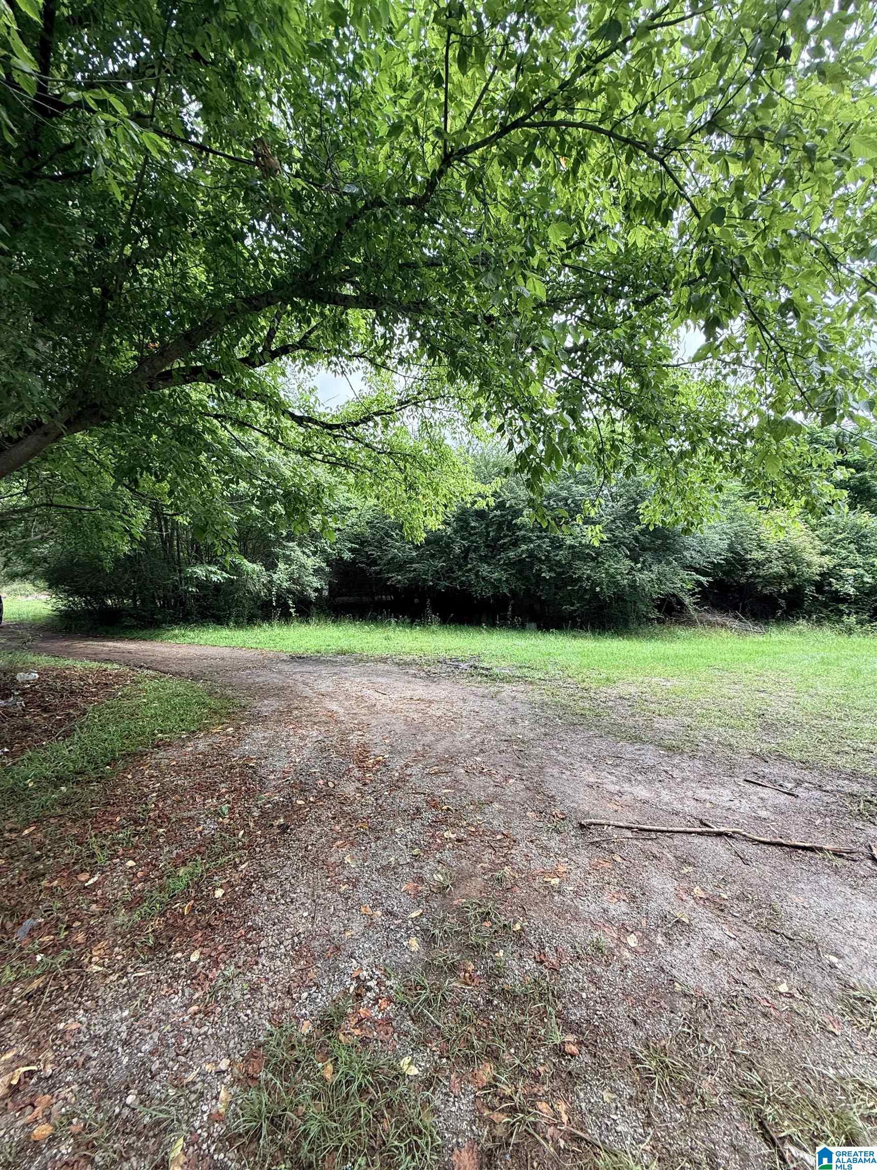Image 1: Community