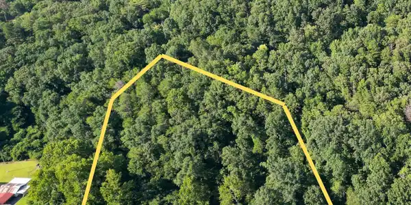Image 3: lines are approximate