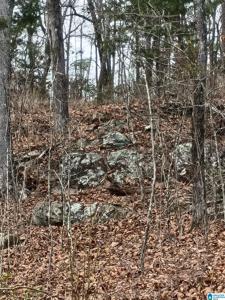 4615 COUNTY HIGHWAY 26